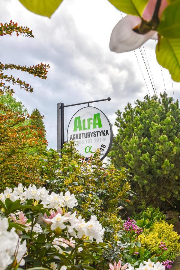 Agroturystyka Alfa Bystra  Exterior foto